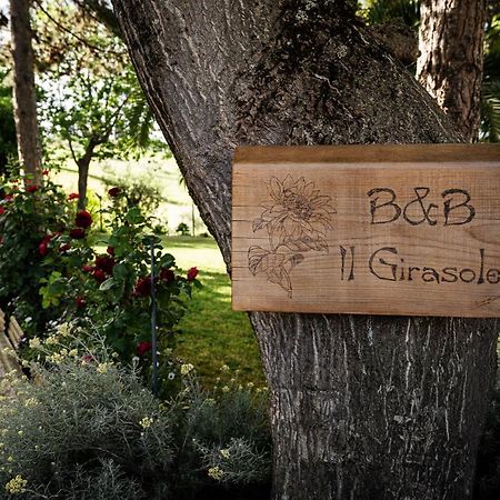 Il Girasole Panzió Basciano Kültér fotó