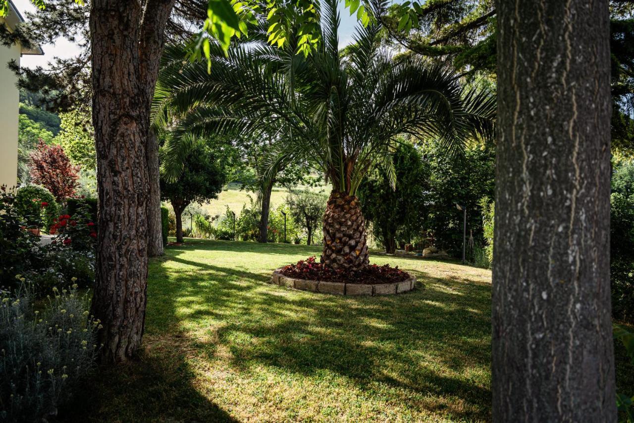 Il Girasole Panzió Basciano Kültér fotó