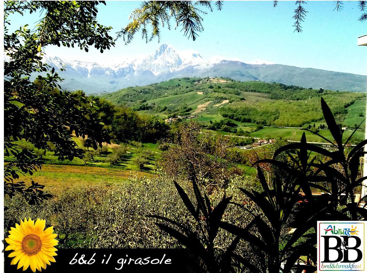 Il Girasole Panzió Basciano Kültér fotó